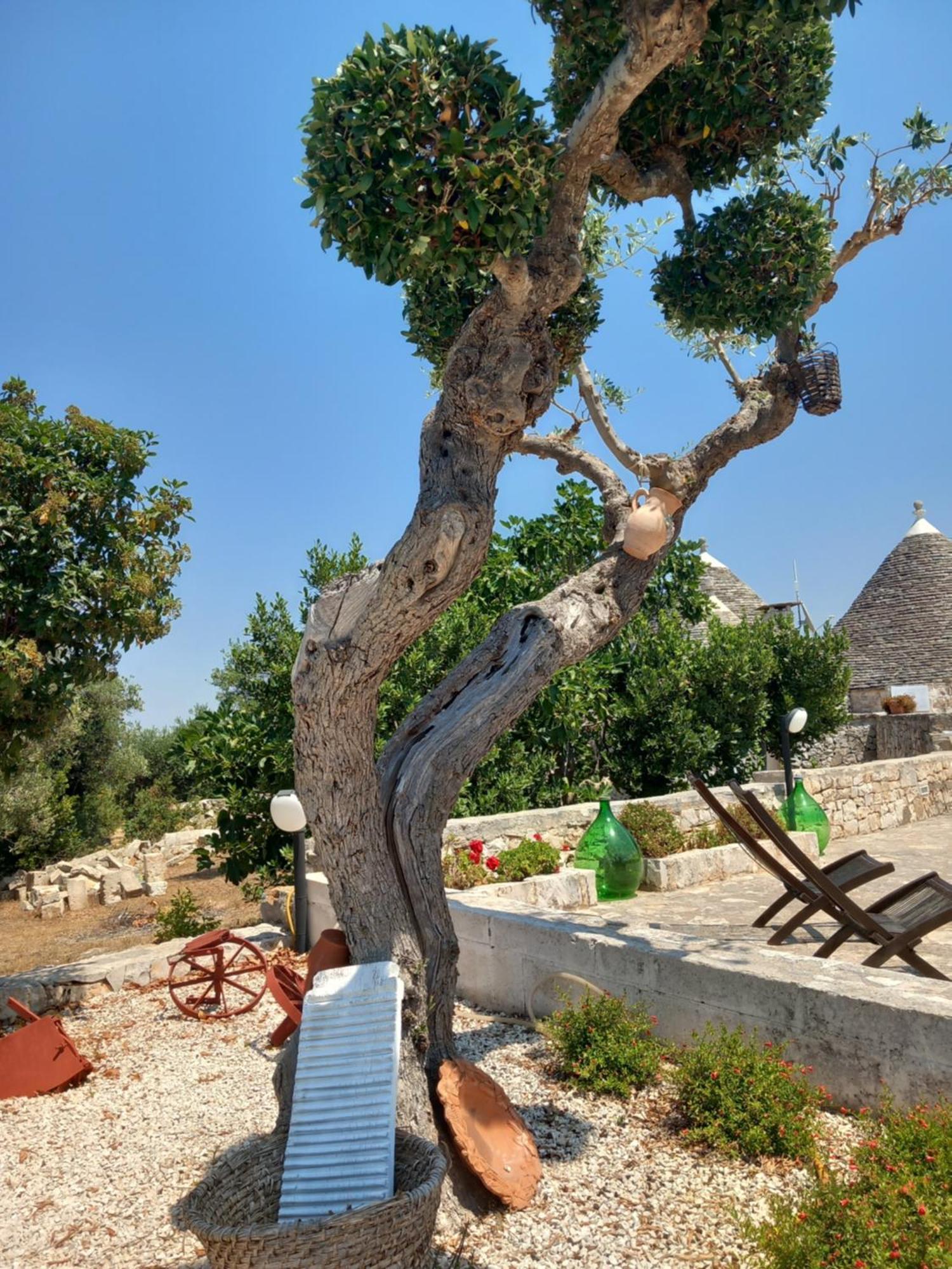 Monte del Sale Resort Alberobello Exterior foto